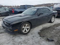 Carros salvage a la venta en subasta: 2013 Dodge Challenger SXT