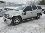 2008 Chevrolet Trailblazer LS