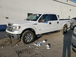 Salvage cars for sale at Farr West, UT auction: 2014 Ford F150 Supercrew