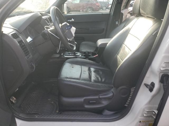 2010 Ford Escape Limited