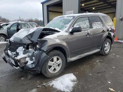 Lots with Bids for sale at auction: 2010 Ford Escape XLT