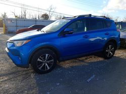 Salvage cars for sale at Walton, KY auction: 2017 Toyota Rav4 XLE