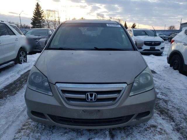 2005 Honda Odyssey EXL