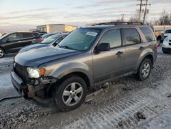 Salvage cars for sale at Wayland, MI auction: 2011 Ford Escape XLT