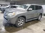 2010 Lexus GX 460