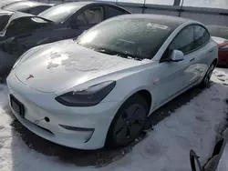 Salvage cars for sale at Cahokia Heights, IL auction: 2023 Tesla Model 3