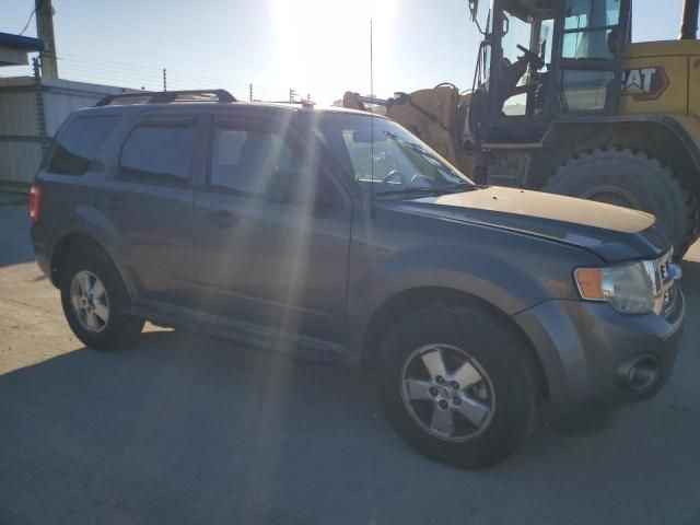 2011 Ford Escape XLT