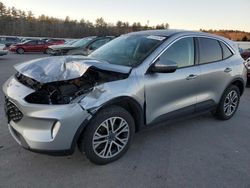 Salvage cars for sale at Windham, ME auction: 2022 Ford Escape SEL