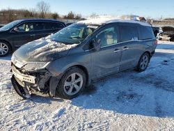 Salvage cars for sale at Columbia Station, OH auction: 2018 Honda Odyssey EX