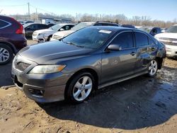 2011 Toyota Camry SE en venta en Louisville, KY