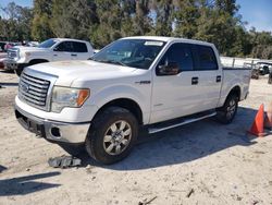 2011 Ford F150 Supercrew en venta en Ocala, FL