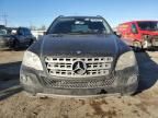 2010 Mercedes-Benz ML 350