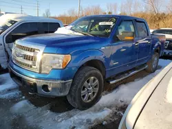 Salvage trucks for sale at Bridgeton, MO auction: 2013 Ford F150 Supercrew