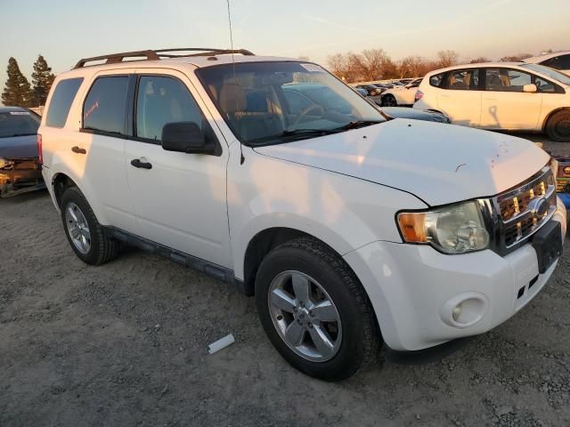 2009 Ford Escape XLT