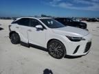 2023 Lexus RX 350 Base