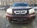 2010 Honda Pilot Touring