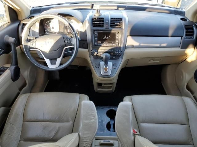 2010 Honda CR-V EXL