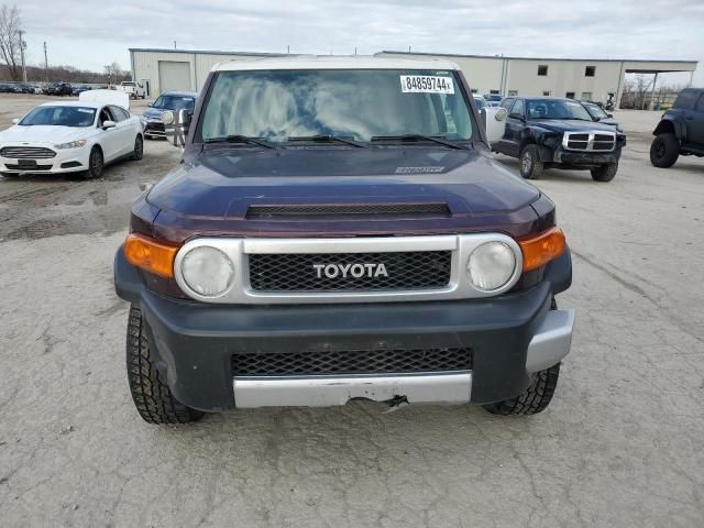 2007 Toyota FJ Cruiser