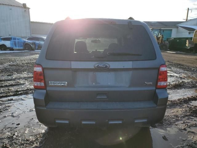 2011 Ford Escape XLT