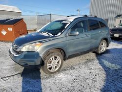 Salvage cars for sale at Elmsdale, NS auction: 2011 Honda CR-V EXL