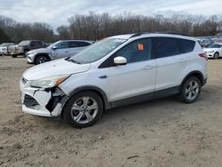 SUV salvage a la venta en subasta: 2014 Ford Escape SE