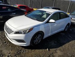 Salvage cars for sale at Waldorf, MD auction: 2015 Hyundai Sonata SE