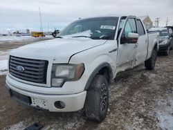 Salvage cars for sale at Brighton, CO auction: 2012 Ford F150 Supercrew