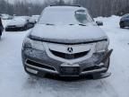 2010 Acura MDX Advance