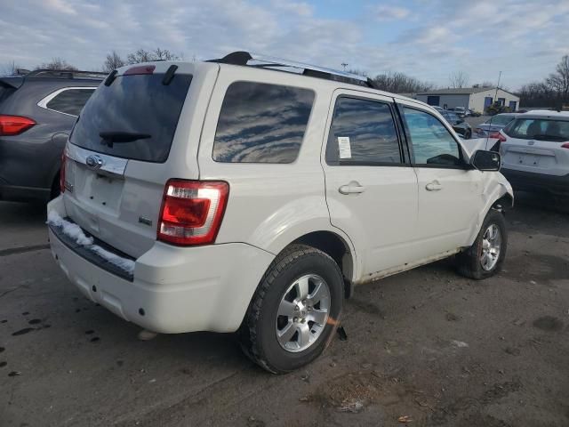 2010 Ford Escape Limited