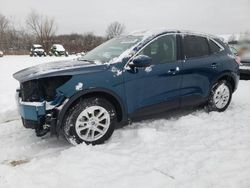 Salvage cars for sale from Copart Columbia Station, OH: 2020 Ford Escape SE