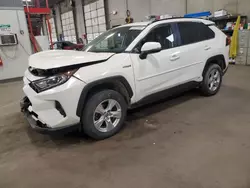 2019 Toyota Rav4 XLE en venta en Blaine, MN