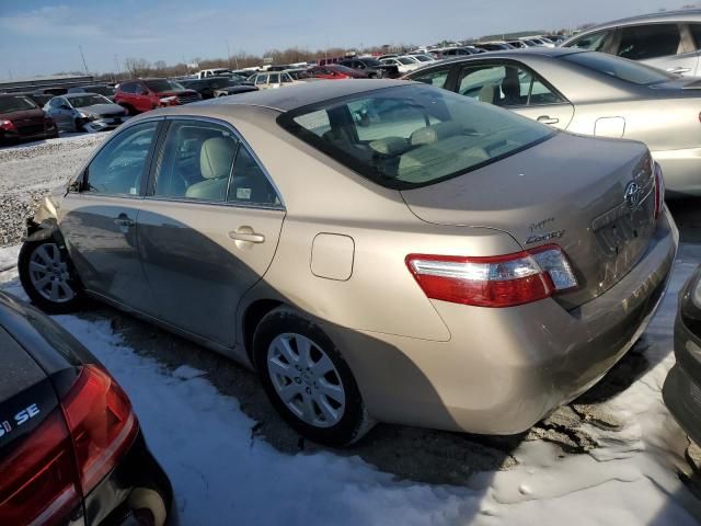 2009 Toyota Camry Hybrid