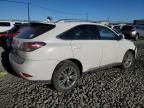 2013 Lexus RX 450H