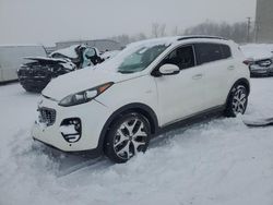 Salvage cars for sale at Wayland, MI auction: 2018 KIA Sportage SX