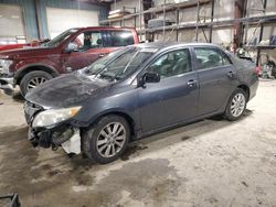 Salvage cars for sale from Copart Eldridge, IA: 2009 Toyota Corolla Base