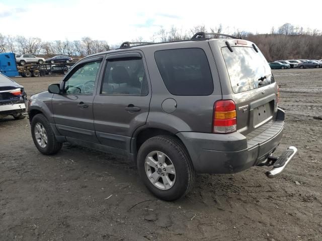 2006 Ford Escape XLT