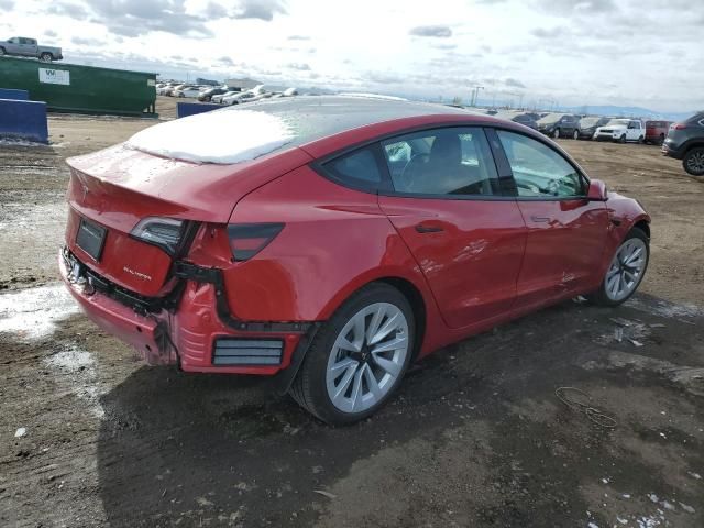 2023 Tesla Model 3