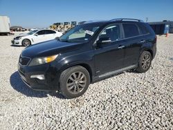 Salvage cars for sale at Taylor, TX auction: 2013 KIA Sorento SX