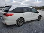 2021 Honda Odyssey EXL