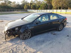 Salvage cars for sale at Fort Pierce, FL auction: 2015 Hyundai Sonata SE