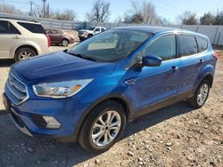 Ford salvage cars for sale: 2019 Ford Escape SE