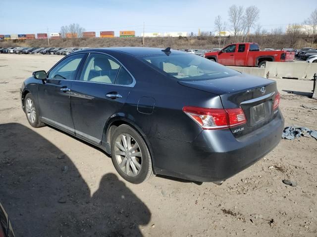 2010 Lexus ES 350