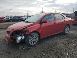 Salvage cars for sale at Eugene, OR auction: 2009 Toyota Corolla Base