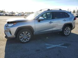 Toyota rav4 xle Premium salvage cars for sale: 2020 Toyota Rav4 XLE Premium