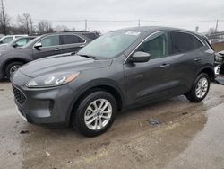 Salvage cars for sale at Lawrenceburg, KY auction: 2020 Ford Escape SE