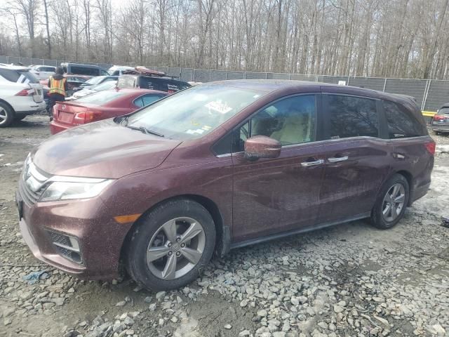 2019 Honda Odyssey EXL