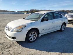 Nissan Vehiculos salvage en venta: 2009 Nissan Altima Hybrid