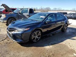 2019 Toyota Camry L en venta en Louisville, KY