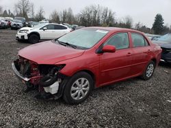 Toyota salvage cars for sale: 2009 Toyota Corolla Base