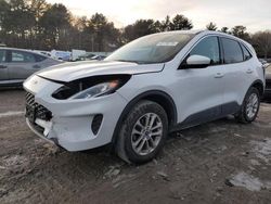 Salvage cars for sale at Mendon, MA auction: 2020 Ford Escape SE